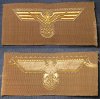 trop cap eagle - medium.JPG
