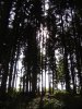 DSC04484.jpg