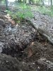 DSC04487.jpg
