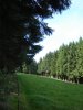 DSC04486.jpg