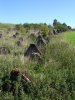 DSC04501.jpg