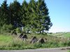 DSC04502.jpg