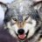 Top_Dog